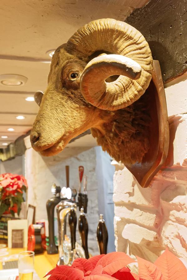 Rams Head Inn Dolton المظهر الخارجي الصورة